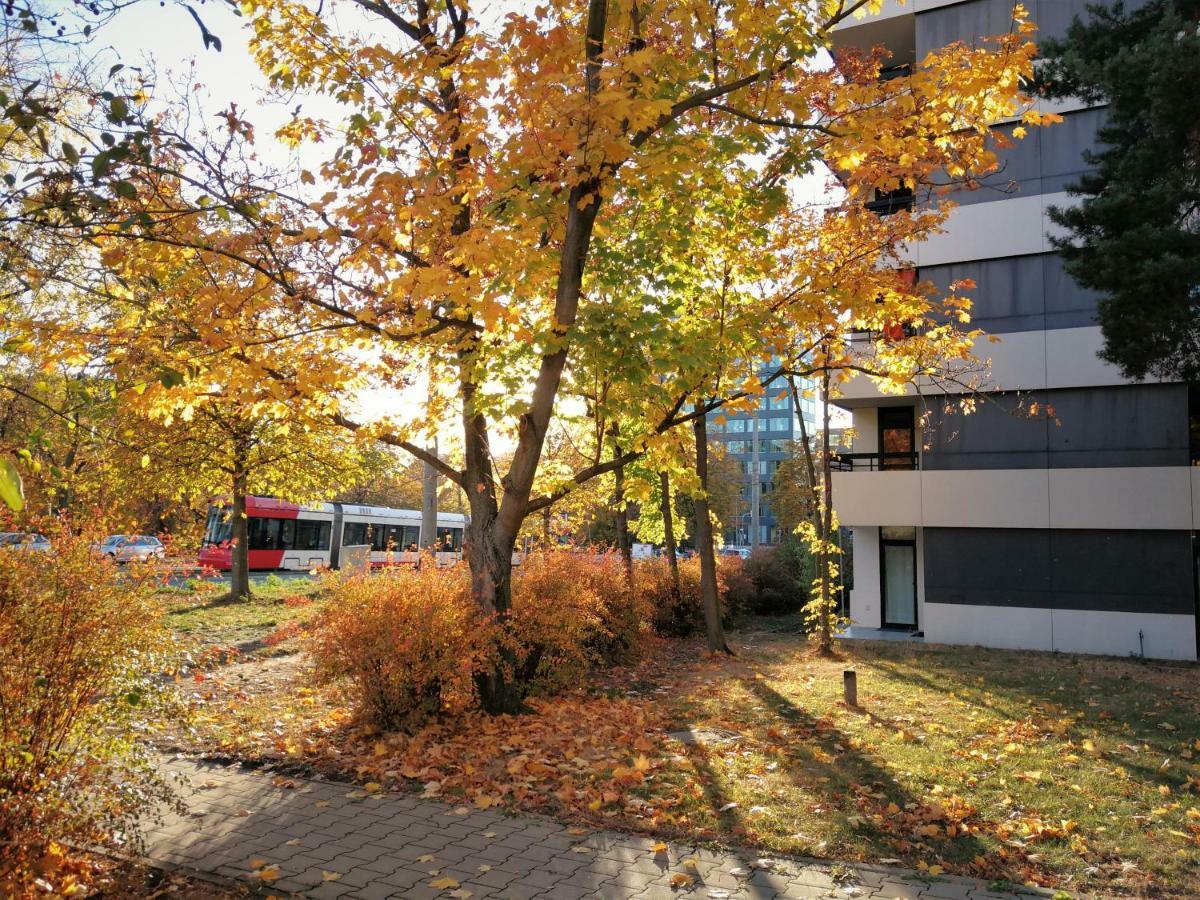 Central-Apt At Lake, Citycenter 5Min, Fair 18Min!!! Nuremberg Luaran gambar